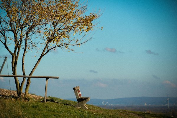 La scoliose, quand la colonne vertébrale se déforme